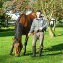 ���������� ��������, ���� ������� �������, 38 ���, ������������ ��� ������, ����� � ���������