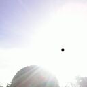 ���������� ���������, ���� ������� ����, 38 ���, ������������ ��� ������, ����� � ���������