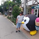 ,   , 37 ,     , c , 