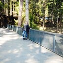 ���������� �����, ���� ������� ����, 40 ���, ������������ ��� c�������� ���������, ���������