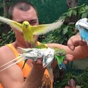 ���������� �����, ���� ������� ����, 39 ���, ������������ ��� ������, ����� � ���������, c�������� ���������