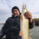 ���������� ������, ���� ������� ���������, 46 ���, ������������ ��� ������, ����� � ���������