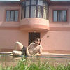  ,   Bakha, 40 ,     , c 