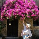 ���������� ����, ���� ������� Svetomyra, 39 ���, ������������ ��� ������, ����� � ���������