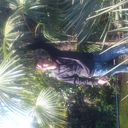 ���������� �����, ���� ������� ����, 41 ���, ������������ ��� ������, ����� � ���������, c�������� ���������, ���������