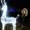 ���������� �������, ���� ������� Paradise, 31 ���, ������������ ��� ������, ����� � ���������, c�������� ���������