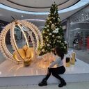 ���������� ���������, ���� ������� ����, 37 ���, ������������ ��� ������, ����� � ���������