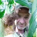  ,   , 52 ,   ,   