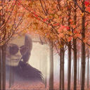 ���������� ������, ���� ������� ����������, 31 ���, ������������ ��� ������, ����� � ���������, c�������� ���������