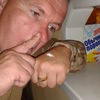  ,   , 54 ,   