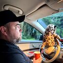 ���������� ������, ���� ������� ������, 35 ���, ������������ ��� ������, ����� � ���������, ���������