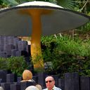 ���������� �����������, ���� ������� ������, 61 ���, ������������ ��� ������, ����� � ���������, c�������� ���������