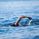 ���������� ��������, ���� ������� A�����, 40 ���, ������������ ��� ������, ����� � ���������, c�������� ���������, ���������