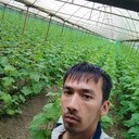 ���������� �������, ���� ������� ���, 31 ���, ������������ ��� ����� � ���������, c�������� ���������