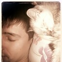 ���������� �����������, ���� ������� ���, 38 ���, ������������ ��� ������, ����� � ���������, c�������� ���������