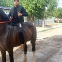 ���������� �������, ���� ������� �����, 28 ���, ������������ ��� ������, ����� � ���������