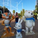 ���������� ����, ���� ������� Vitalik, 37 ���, ������������ ��� ������, ����� � ���������, c�������� ���������, ���������