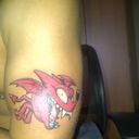   ,   Art, 36 ,   