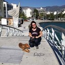 ���������� ������, ���� ������� ������, 45 ���, ������������ ��� ������, ����� � ���������