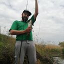 ���������� ���������, ���� ������� �����, 36 ���, ������������ ��� ����� � ���������, c�������� ���������