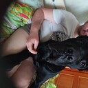 ���������� �����, ���� ������� ����, 36 ���, ������������ ��� ������, ����� � ���������