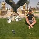 ���������� ������, ���� ������� �����, 38 ���, ������������ ��� ������, ����� � ���������, c�������� ���������