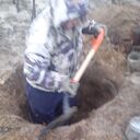 ���������� ����, ���� ������� Anton, 45 ���, ������������ ��� ������, ����� � ���������