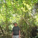  ,   , 50 ,   ,   , c 