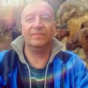 ���������� �������, ���� ������� ���������, 49 ���, ������������ ��� ������, ����� � ���������