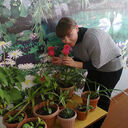 ���������� ��������, ���� ������� ���, 20 ���, ������������ ��� ������, ����� � ���������