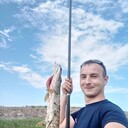 ���������� ������, ���� ������� ��������, 36 ���, ������������ ��� ������, ����� � ���������, c�������� ���������, ���������