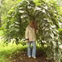  -,   , 71 ,   ,   , c 