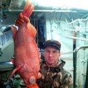 ���������� �����������, ���� ������� Andruy, 39 ���, ������������ ��� ������, ����� � ���������, c�������� ���������