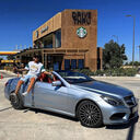 ���������� ������, ���� ������� ������, 31 ���, ������������ ��� ������, ����� � ���������, c�������� ���������