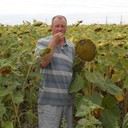 ���������� ������ ��������, ���� ������� ���������, 55 ���, ������������ ��� ����� � ���������, c�������� ���������