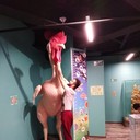 ���������� �����-���������, ���� ������� �����, 34 ����, ������������ ��� ������, ����� � ���������, c�������� ���������