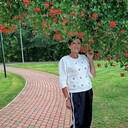 ���������� ���������, ���� ������� ������, 66 ���, ������������ ��� ������, ����� � ���������