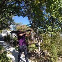 ���������� ������, ���� ������� Hamb, 35 ���, ������������ ��� ������, ����� � ���������, c�������� ���������