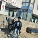  -,   , 36 ,   ,   , c , 