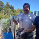 ���������� �����������, ���� ������� ������, 66 ���, ������������ ��� ������, ����� � ���������