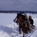 ���������� �������, ���� ������� ���������, 51 ���, ������������ ��� ������, ����� � ���������, c�������� ���������