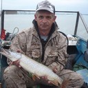 ���������� �������, ���� ������� �������, 53 ����, ������������ 