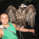 ���������� �������, ���� ������� �����, 40 ���, ������������ 