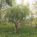 ,   , 51 ,   ,   , c 