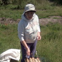 ���������� ����, ���� ������� ����, 54 ����, ������������ ��� ������, ����� � ���������, c�������� ���������