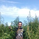 ���������� ����������, ���� ������� �������, 39 ���, ������������ 