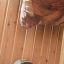  ,   Ziovuddin, 51 ,   ,   
