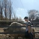  --,   , 22 ,   ,   , c 