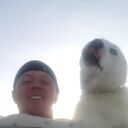 ���������� ����������, ���� ������� ��������, 46 ���, ������������ ��� ������, ����� � ���������, c�������� ���������, ���������