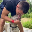 ���������� ������, ���� ����� �������, 25 ���, ������������ ��� ������, ����� � ���������